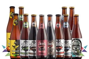 Top Beer MX Espanta Pack de 12 cervezas