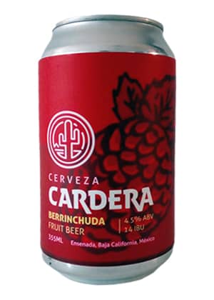 cerveza Berrinchuda fruit beer cardera